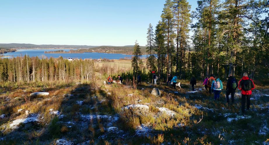 Wandeling met rendieren